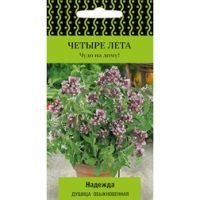 Душица обыкновенная (Орегано) Надежда (Четыре лета)