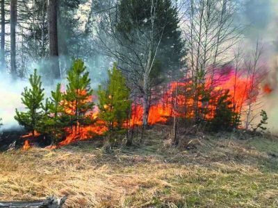В Якутии тушат 29  природных пожаров