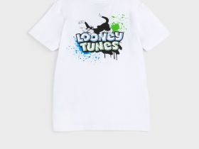 Фуфайка трикотажная для мальчиков (футболка)