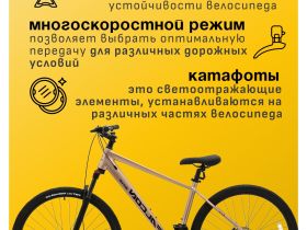 Горный велосипед Falcon Bike 29 Resolute 1.0, год 2024, цвет Коричневый, ростовка 18
