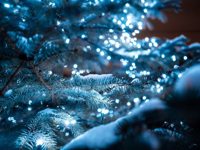 Билеты на Ёлка. Сказка. Чудеса! (Кот Морковкин) / Событие | Афиша | ИнфоТаймс