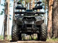 Квадроцикл YAMAHA Shark 300cc