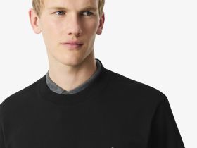 Мужская футболка Lacoste классического кроя из органического хлопка