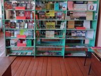 Алмазовский библиотечный филиал № 1