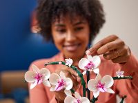 Creator 10311 Конструктор Орхидея