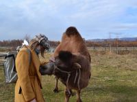 Этнографический комплекс «Степной кочевник»