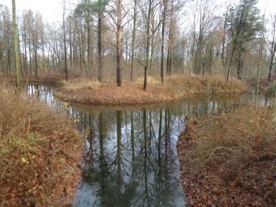 Пруд Верхний Третий