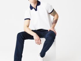 Мужское поло Lacoste стандартного кроя