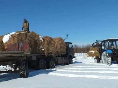 В Якутии планируют перевезти еще более 35 тысяч тонн сена для зимовки скота и лошадей