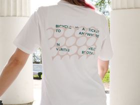 Футболка фирменная Birota (белый XXL Классический крой)