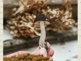 Деревянная брошка Дворникова А. "Подберёзовик"