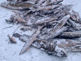 Эксклюзивная трофейная рыбалка на Вилюе: нетронутые места, гарантированный улов.