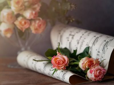17 Международный конкурс исполнителей на духовых и ударных инструментах. Номинация «гобой», 2 тур