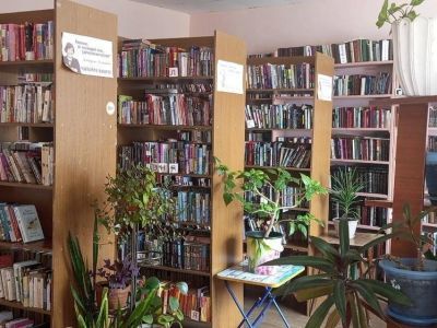 Емецкая библиотека им. Н. М. Рубцова