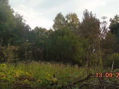 Усадьба. Парк