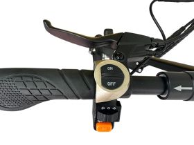 Самокат  Exegol ESEXS Pro 10, цвет Черный