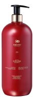 Шампунь для волос с оптическим эффектом Zoom Color Shampoo: Шампунь 1000мл