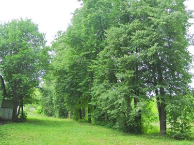 Усадьба Боде-Колычевых в селе Спасское-Лукино