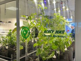 Опытно-экспериментальную теплицу открыли в школе Якутска