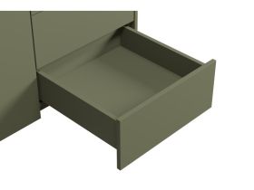 Распашной шкаф Изи 2-100x220 Оливковый