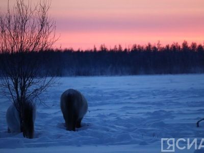 В Кобяйском районе 2023 год объявили Годом экологии и особо охраняемых природных территорий