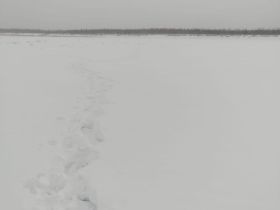 В Нюрбинском районе Якутии спасли охотника, который мог получить обморожение