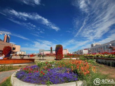 Состояние зеленых насаждений в Якутске оценит дендрапланерист