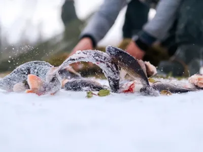 Работники АГиП Якутии приняли участие в мунха в поддержку семей участников СВО