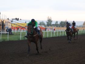 Стали известны победители конных скачек на призы главы Якутии