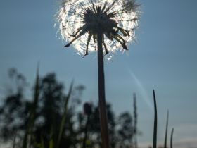 Сплав по реке Лена с посещением Ленских Столбов, тукуланов-песков Самыс Кумага и Кысыл Элэсин