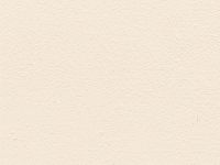 Бумага для акварели Лилия Холдинг лист 300 г Слоновая кость 40х60 см, 100% хлопок