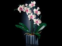 Creator 10311 Конструктор Орхидея