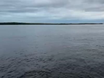 Инспекторы не обнаружили нефтяную пленку на реке Лене