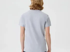 Мужская футболка Lacoste стандартного кроя