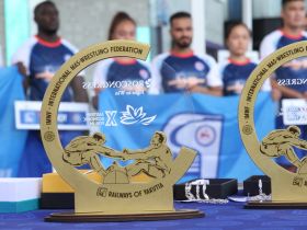 Определены победители международного турнира по мас-рестлингу компании «Железные дороги Якутии»