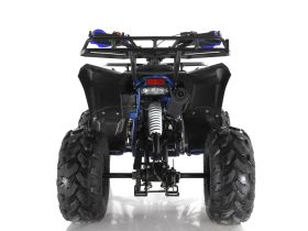 Квадроцикл WELS Thunder Evo