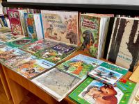 Рощинская детская библиотека