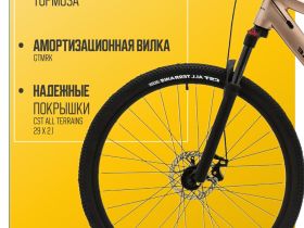 Горный велосипед Falcon Bike 29 Resolute 1.0, год 2024, цвет Коричневый, ростовка 18