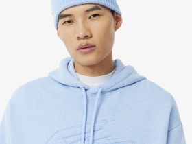 Мужская толстовка - худи Lacoste из хлопка