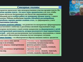 Международный вебинар "Формирование сенсорных эталонов у детей с тяжелыми и множественными нарушениями развития"