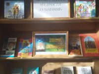 Стычновская сельская библиотека