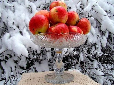 «Мы не можем влиять на погоду, но можем создавать настроение». Как компенсировать недостаток солнца