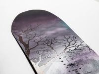 Сноуборд NITRO BEAST 21/22