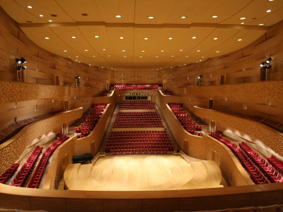 Билеты на Золотой петушок (Концертный зал Мариинского театра) / Театр | Афиша | ИнфоТаймс