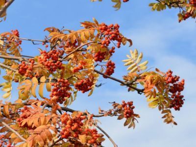 23 сентября — Осеннее равноденствие: приметы, что можно и нельзя делать