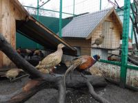 Центр туризма г. Чаплыгин