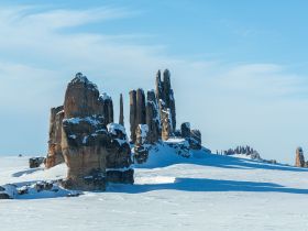 Арктическая снегоходная экспедиция «К Каменным Людям Сундуруна через кряж Суор Уйата»