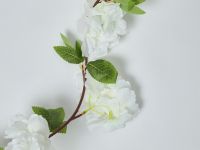 Ветвь Eternal Garden II