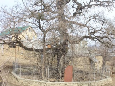 Пир-захоронение