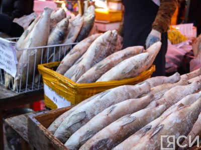 Ярмарка «Рыба Якутии» пройдет на Комсомольской площади